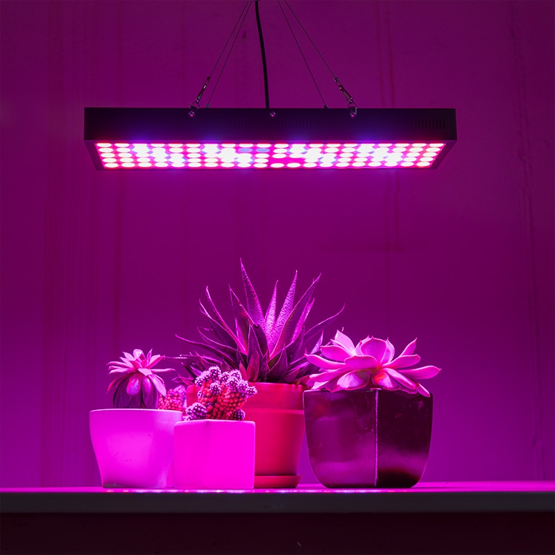 Red blue store grow light