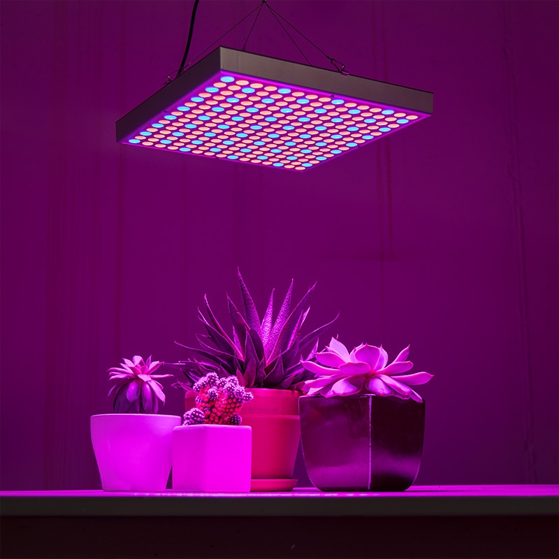 30W LED Grow Light - 2-Band Red/Blue for Indoor Plant Growth