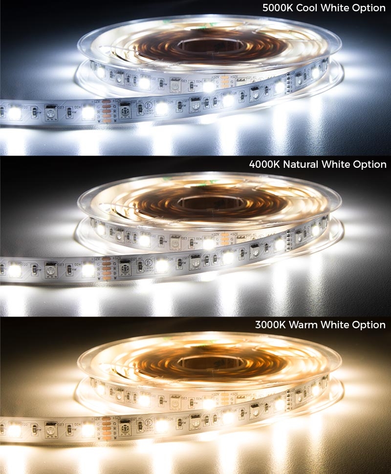 5050 RGB+W LED Strip Light - Color-Changing LED Tape Light w/ White and Multicolor LEDs - 12V - IP20 - 204 lm/ft